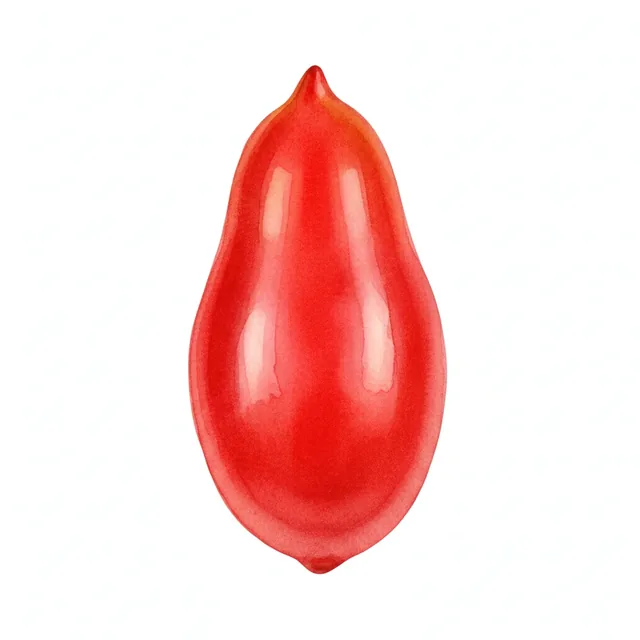 Amish Paste, illustration botanique