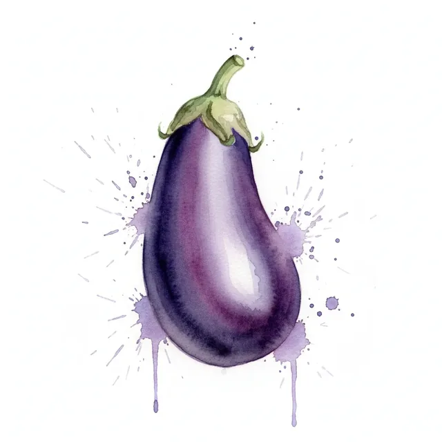 Aubergine Violette De Toulouse, illustration botanique
