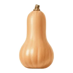 Butternut