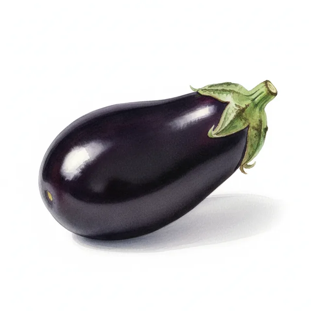 Imperial Black Beauty, illustration botanique