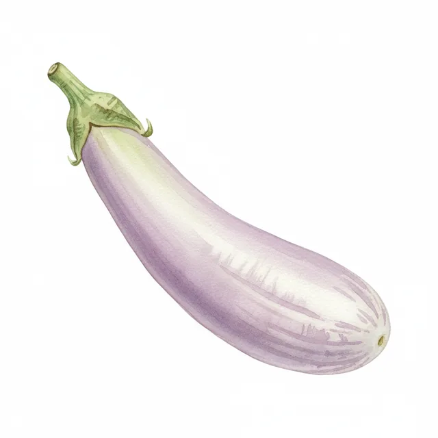 Thai White Ribbed, illustration botanique